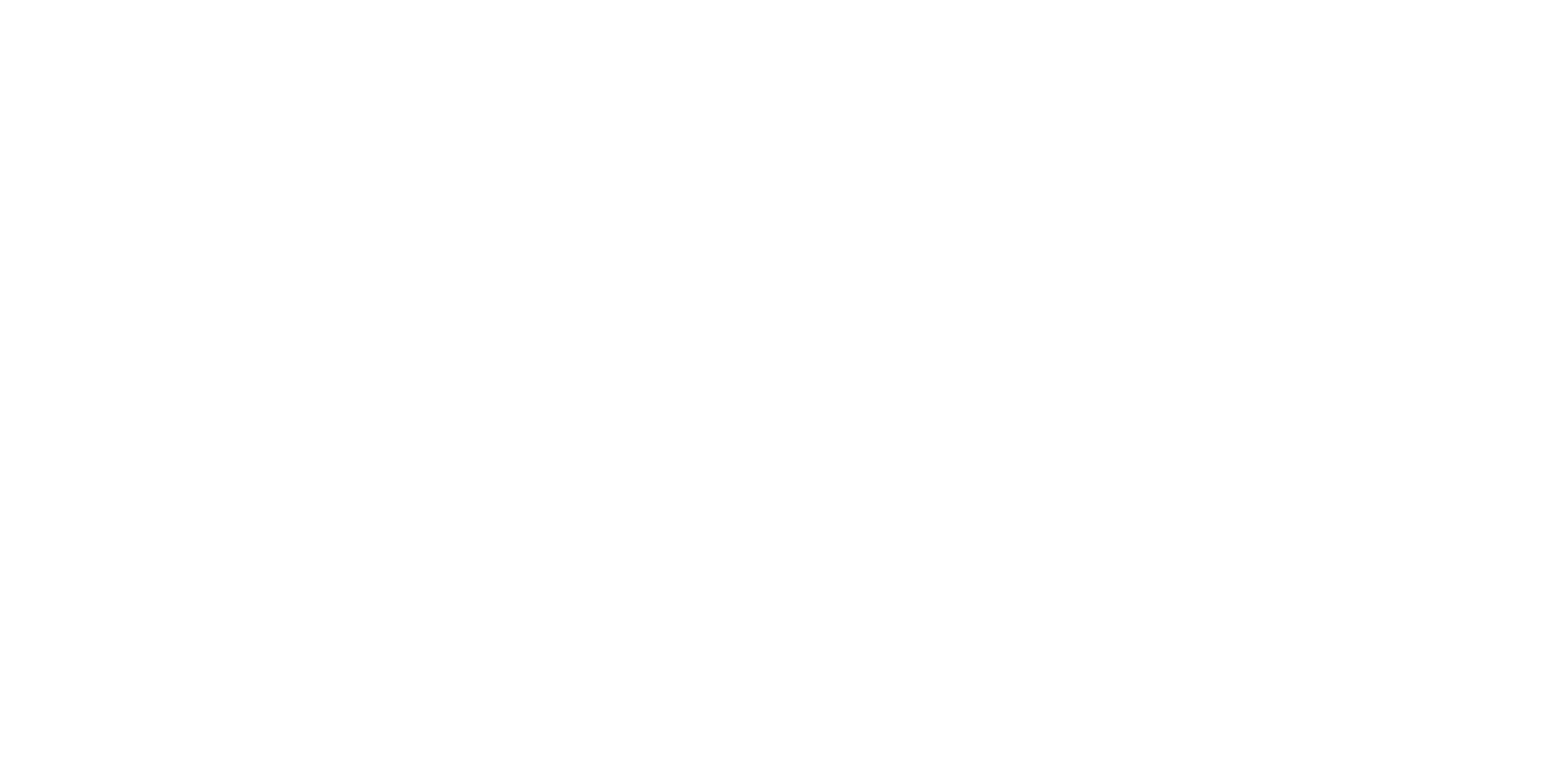 Fidelis Consultants